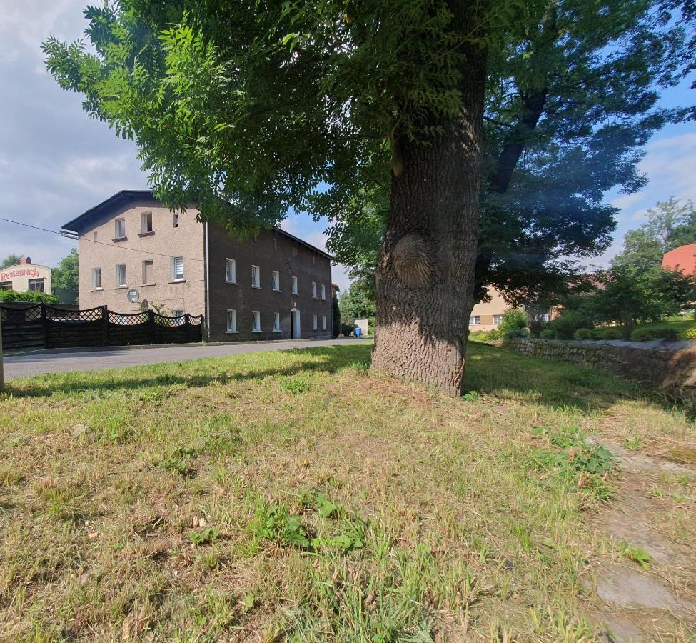 Apartament Chełmsko Śląskie Екстериор снимка